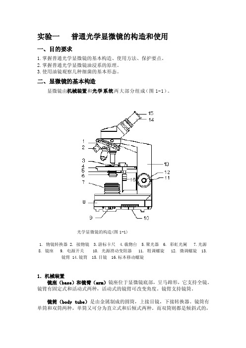 实验一普通光学显微镜的构造和使用[详细讲解]