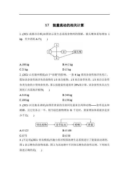 2023年新高考生物专题强化练 17：能量流动的相关计算