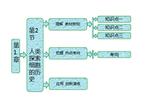 2017-2018学年高中生物北师大版必修一课件：第1章 第2节 人类探索细胞的历史