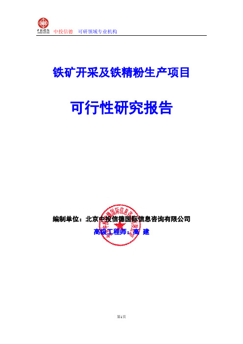 铁矿开采及铁精粉生产项目可行性研究报告编写格式及参考(模板word)