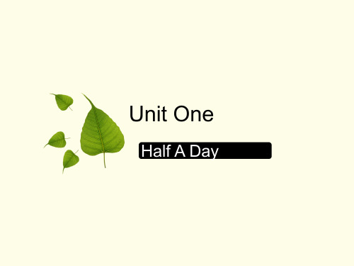 unit 1 voc-half- a- day课件