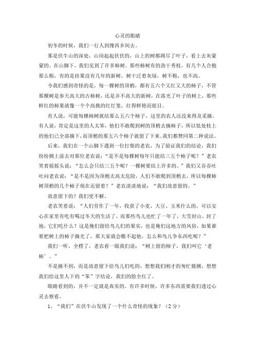 《心灵的眼睛》阅读练习及答案