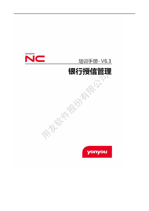 NC63培训手册-银行授信管理