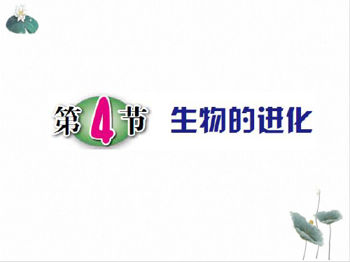 九年级下科学《生物的进化》上课课件PPT浙教版