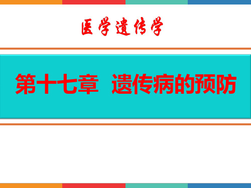 17 遗传病的预防