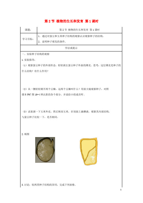 部编2020八年级生物上册 7.19.2《植物的生长发育》第1课时导学案(无答案)(新版)苏科版
