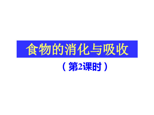 食物的消化与吸收浙教版九年级科学上册