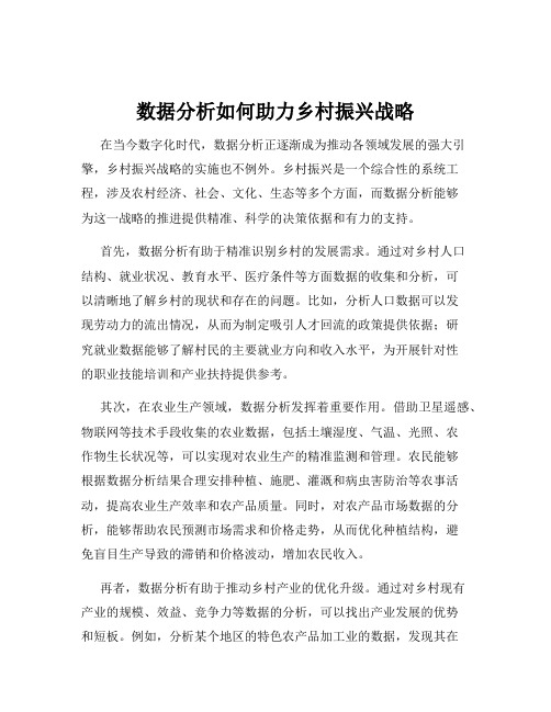 数据分析如何助力乡村振兴战略