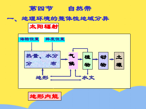 高中地理 《自然带》课件 旧人教版标准版文档