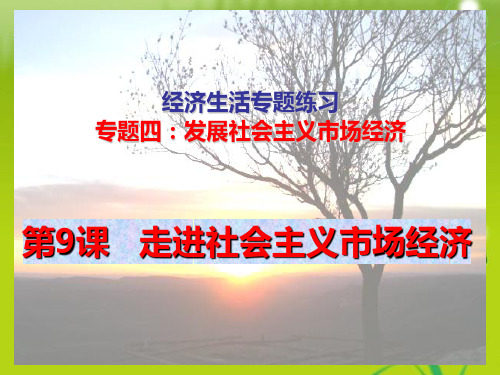 高考政治二轮知识复习 专题练习发展社会主义市场经济课件