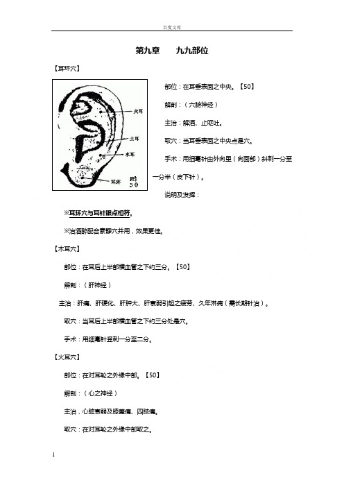 董氏奇穴——头面部(杨维杰)