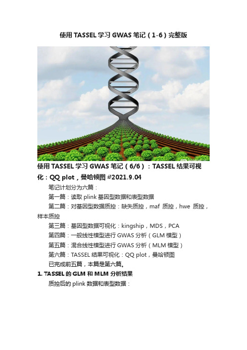 使用TASSEL学习GWAS笔记（1-6）完整版