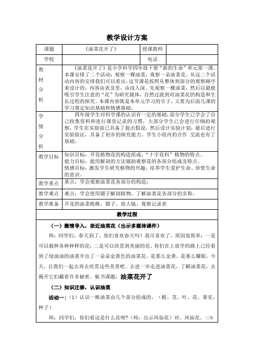 四年级下册科学教案与反思油菜花开了教科版(1)