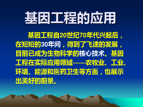 生物高考复习基因工程的应用PPT课件