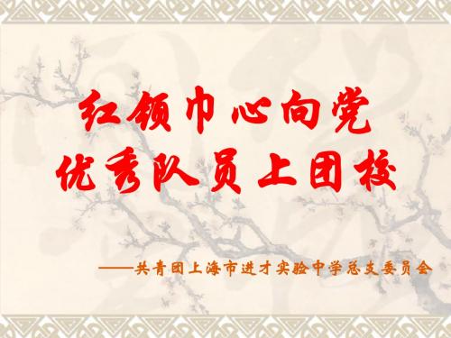 团员-上海进才试验中学