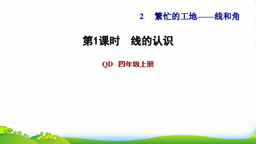 2022四年级数学上册 第2单元 繁忙的工地——线和角第1课时 线的认识习题课件 青岛版六三制