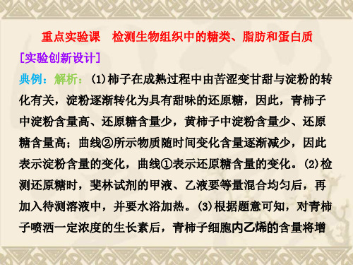 【三维设计】高考生物一轮复习 第一单元 第二讲  重点实验课 检测生物组织中的糖类、脂肪和蛋白质