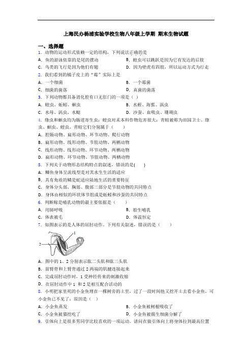 上海民办杨浦实验学校生物八年级上学期 期末生物试题