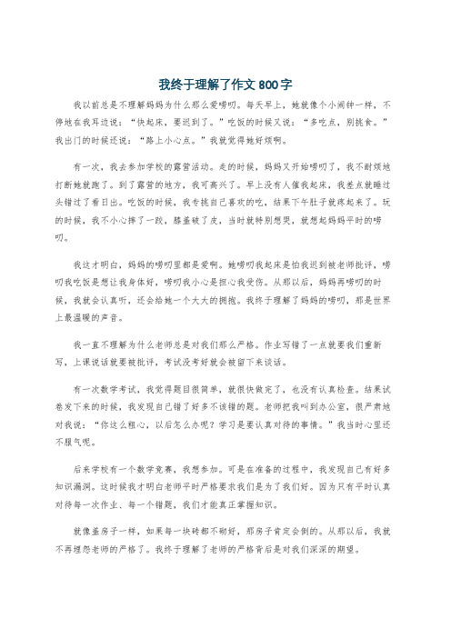 我终于理解了作文800字