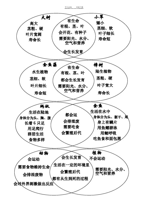 教科版科学三年级上册-维恩图汇总