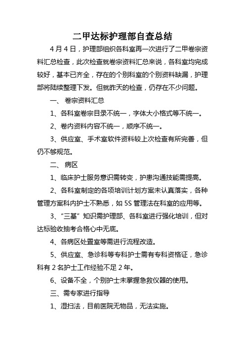 二甲达标护理部自查总结2