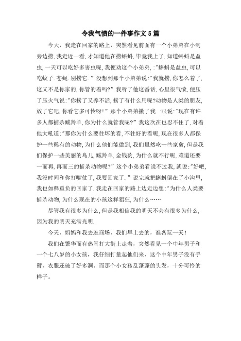 令我气愤的一件事作文5篇