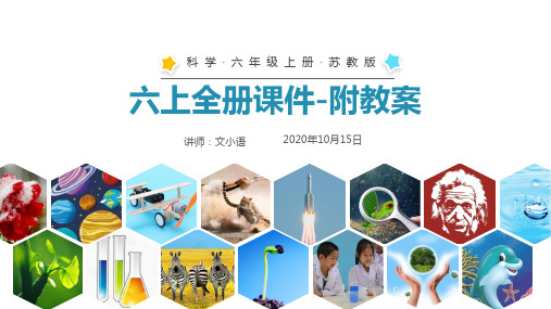 苏教版科学六年级上册全册 课件PPT(附教案)