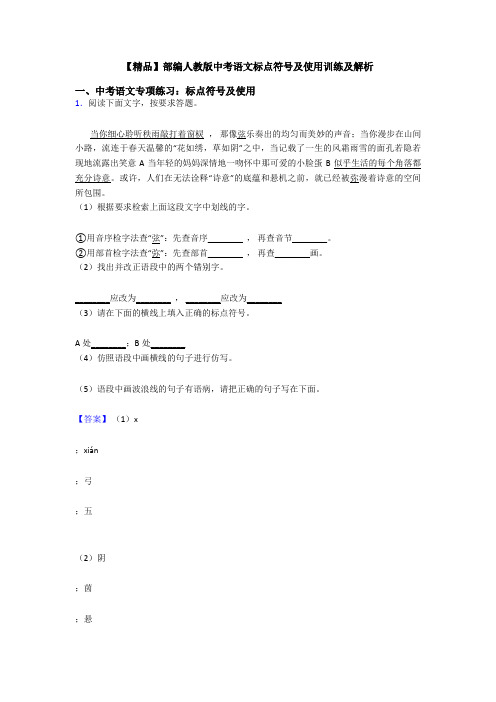 【精品】部编人教版中考语文标点符号及使用训练及解析