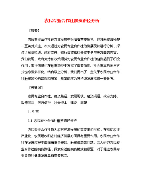 农民专业合作社融资路径分析