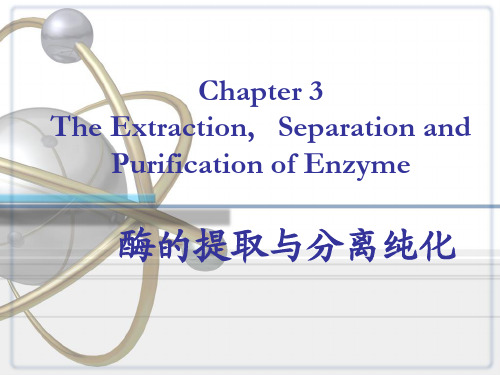 酶的提取和分离纯化