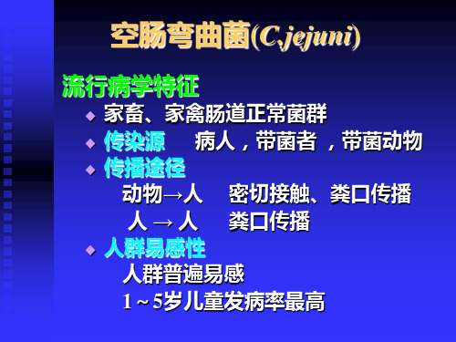 空肠弯曲菌Cjejuni