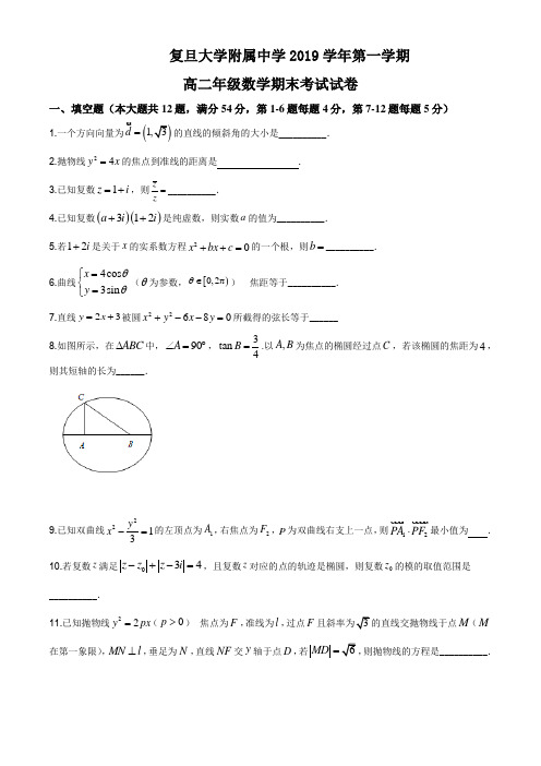 上海市复旦大学附属中学2019-2020学年高二上学期期末数学试题(解析版)word