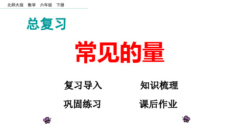 新北师大版小学六年级数学下册总复习常见的量课件