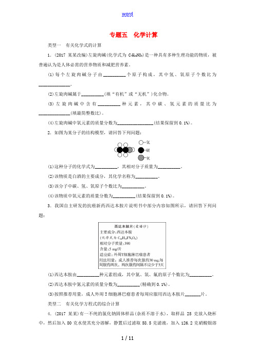 广东省中考化学总复习 专题五 化学计算课时练习-人教版初中九年级全册化学试题