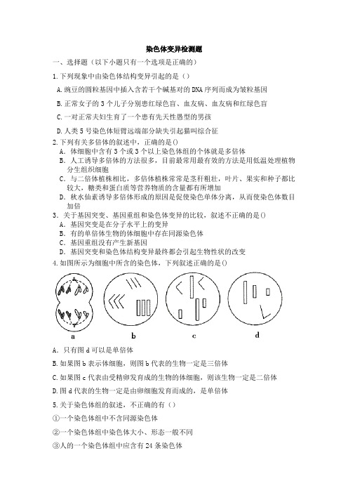 习题1：高中生物人教版2019必修二第五章第二节染色体变异