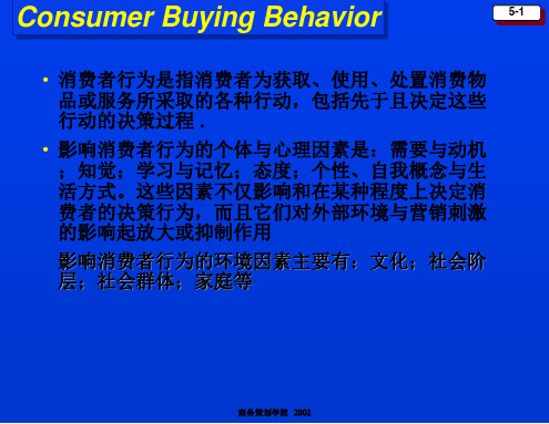 Consumer Buying Behavior 消费者行为