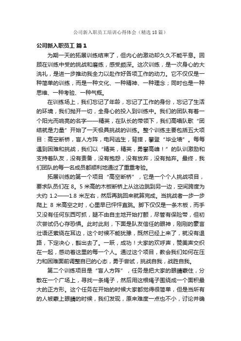 公司新入职员工培训心得体会（精选18篇）