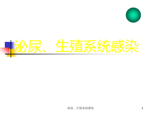 泌尿、生殖系统感染课件