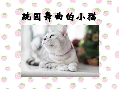 《跳圆舞曲的小猫》PPT课件 (共14张PPT)