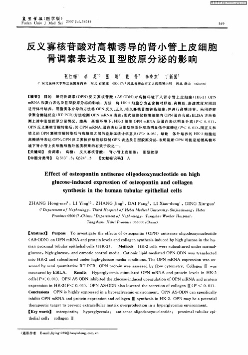 反义寡核苷酸对高糖诱导的肾小管上皮细胞骨调素表达及Ⅲ型胶原分泌的影响