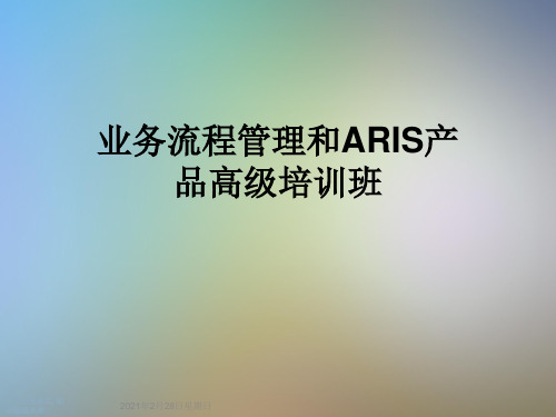 业务流程管理和ARIS产品高级培训班