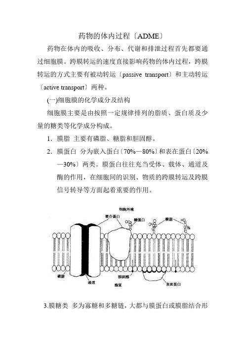 药物的体内过程e