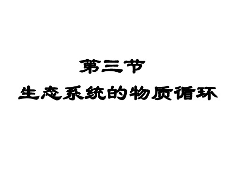 生态系统的物质循环ppt课件