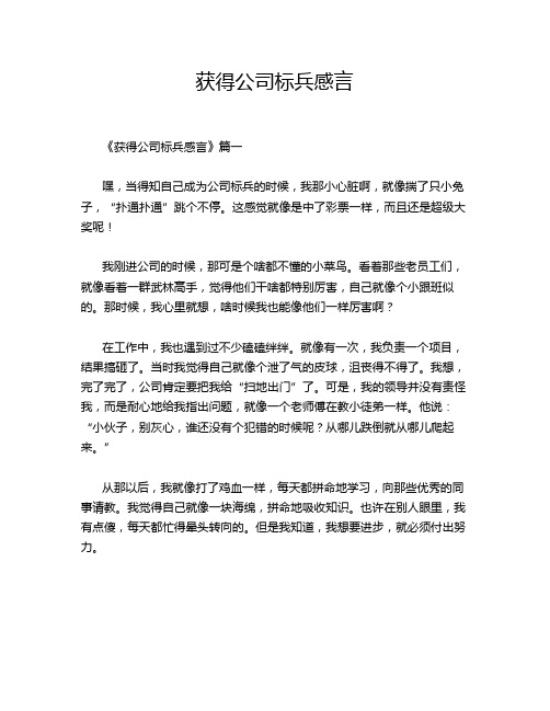 获得公司标兵感言