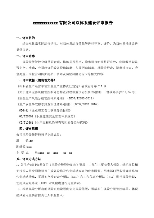 xx有限公司双体系建设评审报告