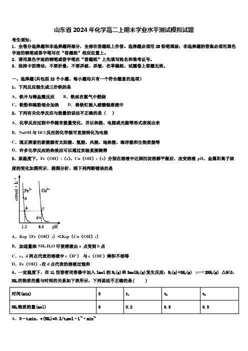 山东省2024年化学高二上期末学业水平测试模拟试题含解析