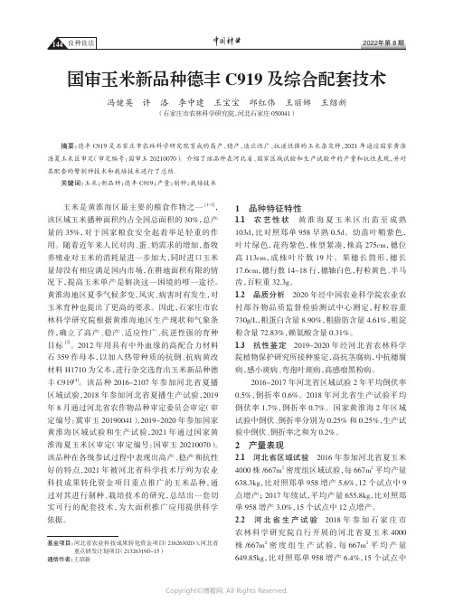 国审玉米新品种德丰C919 及综合配套技术