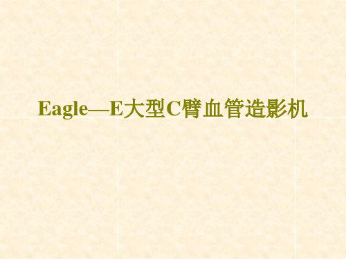 Eagle—E大型血管造影机演示