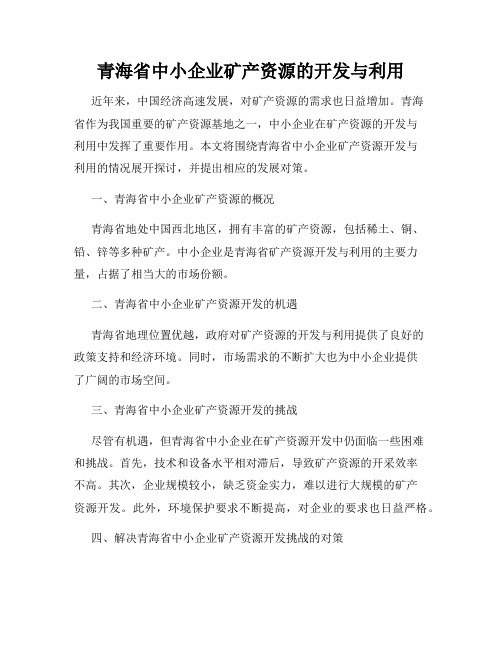 青海省中小企业矿产资源的开发与利用