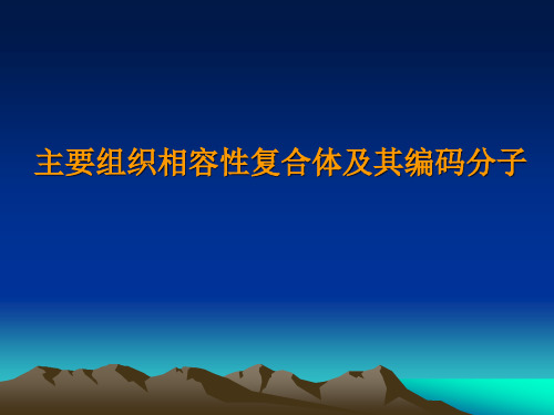 主要组织相容性复合体及其编码分子